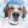 polar_pirate